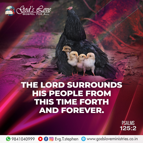 Psalm 125 Book Summary Review ElessarKorban
